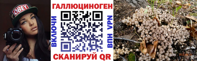 Галлюциногенные грибы MAGIC MUSHROOMS  omg как зайти  Томмот 