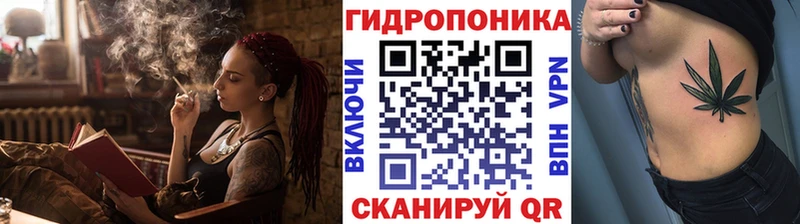 Шишки марихуана THC 21%  Томмот 